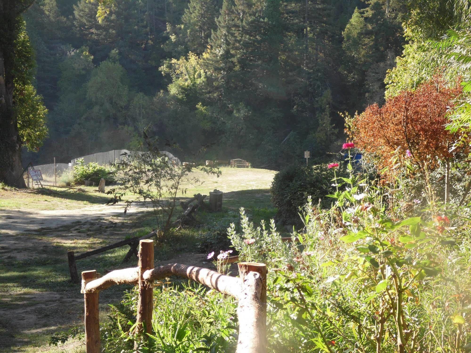 Riverlane Resort Guerneville Dış mekan fotoğraf